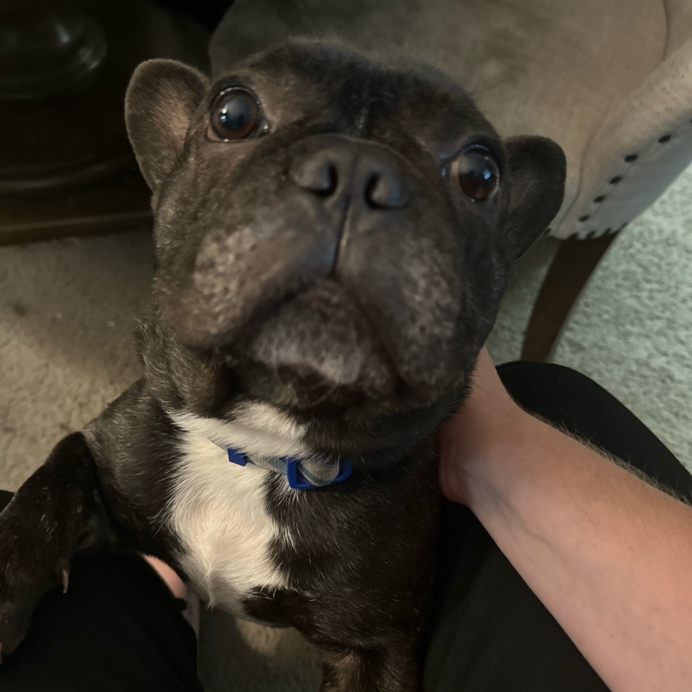 Meet your Posher, Kelly